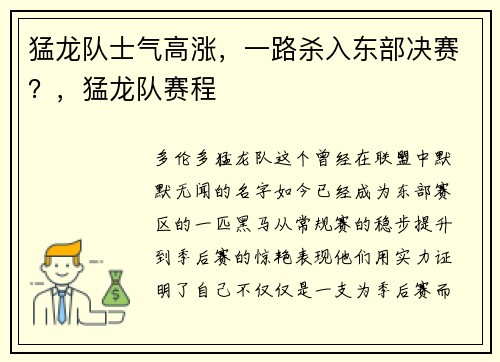 猛龙队士气高涨，一路杀入东部决赛？，猛龙队赛程