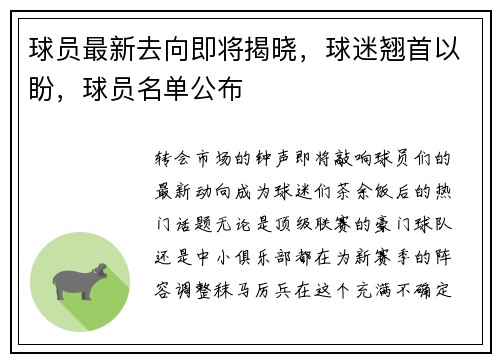 球员最新去向即将揭晓，球迷翘首以盼，球员名单公布
