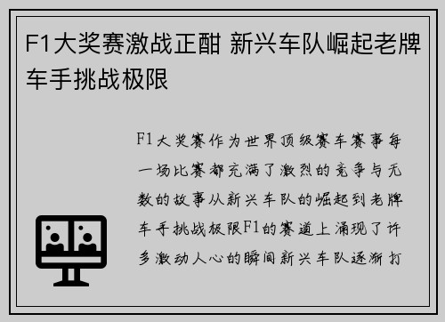 F1大奖赛激战正酣 新兴车队崛起老牌车手挑战极限
