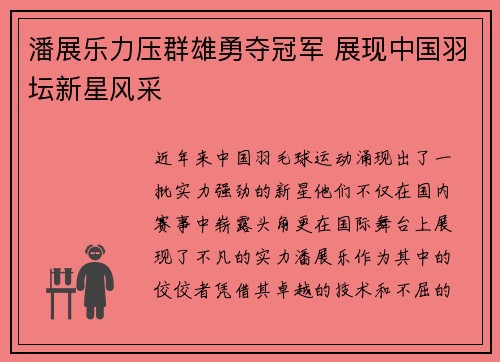 潘展乐力压群雄勇夺冠军 展现中国羽坛新星风采