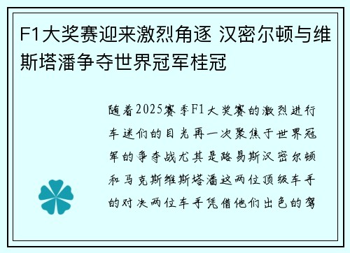 F1大奖赛迎来激烈角逐 汉密尔顿与维斯塔潘争夺世界冠军桂冠